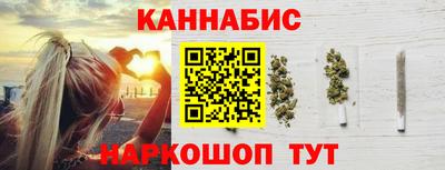 мдпв Камышлов
